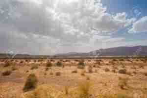 Piano Mattei. Firmata intesa con l’Algeria per il recupero di 36 mila ettari di terreno