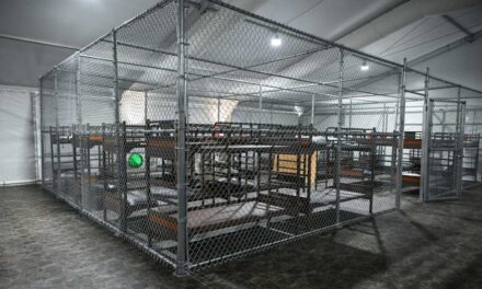 Il fallimento dei progetti anti-immigrazione: chiude la prigione “Alligator Alcatraz” e il muro nero di Trump