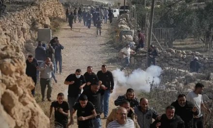 Cisgiordania, volontari italiani aggrediti dai coloni: escalation di violenze e territori sempre più a rischio