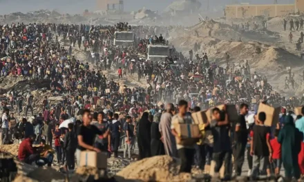 Israele sospende 37 Ong a Gaza: stop alle attività umanitarie e tensioni internazionali