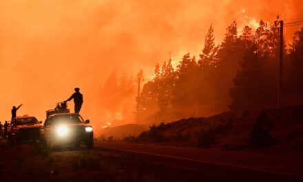 Fiamme in Patagonia: oltre 150 km² in cenere, l’allarme degli esperti