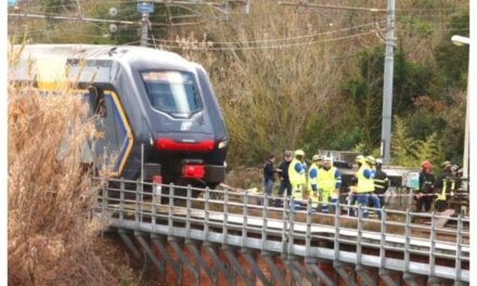 Sabotaggi ferroviari tra Bologna e Marche: un testo online rivendica l’azione e rafforza la pista anarchica