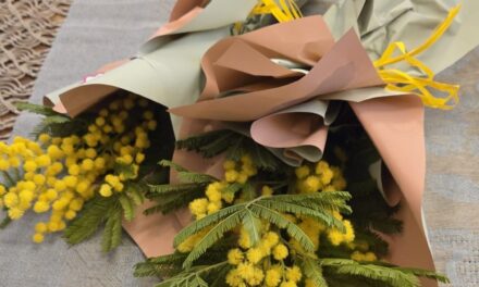 8 marzo. Eventi e manifestazioni in tutt’Italia