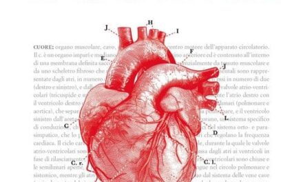 “Sua maestà il cuore”: in un libro un viaggio tra scienza, clinica ed emozioni