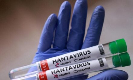 Hantavirus, sorveglianza attiva in Italia per quattro passeggeri di un volo KLM