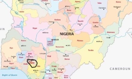 Nigeria, raid aereo degli Stati Uniti contro l’Isis, IS: “Colpiti miliziani nel nord-ovest”